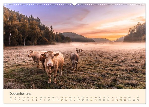 Lautrer Landschaften 2025 (Wandkalender 2025 DIN A2 quer), CALVENDO Monatskalender