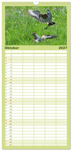 Produktbild: Familienplaner 2027 - Die bedrohten Uferschnepfen mit 5 Spalten (Wandkalender, 21 x 45 cm) CALVENDO