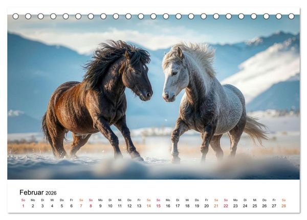 Produktbild: Islandpferde - Freiheit im Blick (Tischkalender 2026 DIN A5 quer), CALVENDO Monatskalender