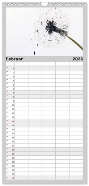 Produktbild: Familienplaner 2026 - Filigrane Pusteblumen / Geburtstagskalender mit 5 Spalten (Wandkalender, 21 x 45 cm) CALVENDO