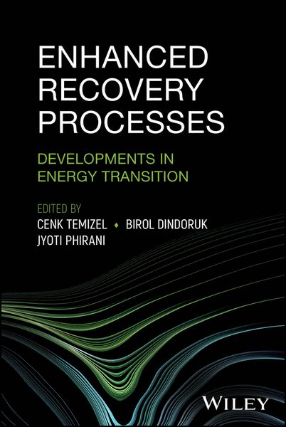 Produktbild: Enhanced Recovery Processes