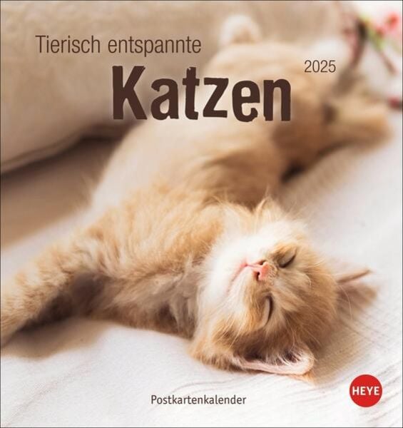 Tierisch entspannte Katzen Postkartenkalender 2025