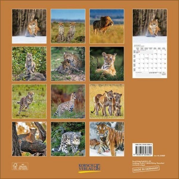 Produktbild: Big Cats 2027
