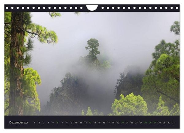 Produktbild: wildes La Palma (Wandkalender 2026 DIN A4 quer), CALVENDO Monatskalender