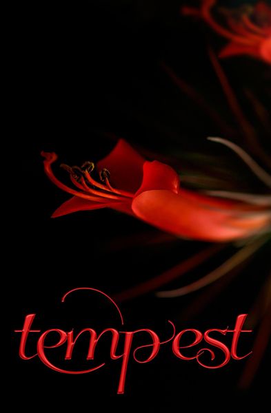 Produktbild: Tempest (Romance, #2)
