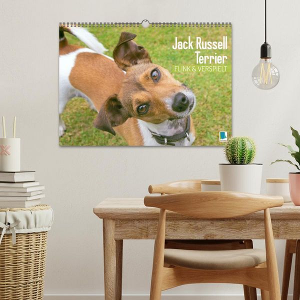 Produktbild: Jack Russell Terrier: flink und verspielt (Wandkalender 2026 DIN A3 quer), CALVENDO Monatskalender