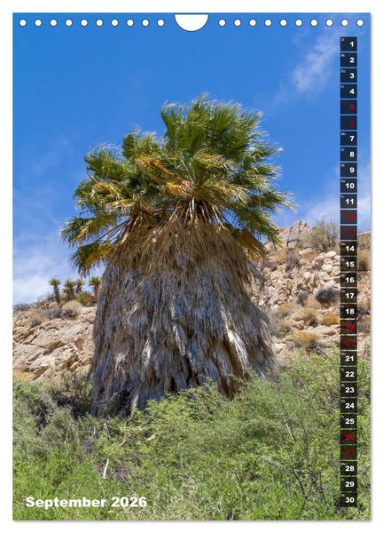 Produktbild: Impressionen aus dem JOSHUA TREE NATIONAL PARK (Wandkalender 2026 DIN A4 hoch), CALVENDO Monatskalender