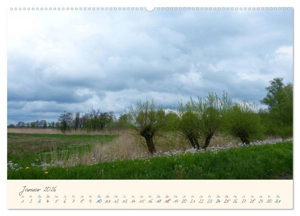 Produktbild: Bremer Blockland - Landleben in der Gro&szlig;stadt (Wandkalender 2026 DIN A2 quer), CALVENDO Monatskalender