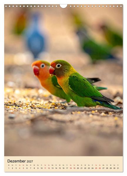 Produktbild: Lovebirds Harmonie (Wandkalender 2027 DIN A3 hoch), CALVENDO Monatskalender