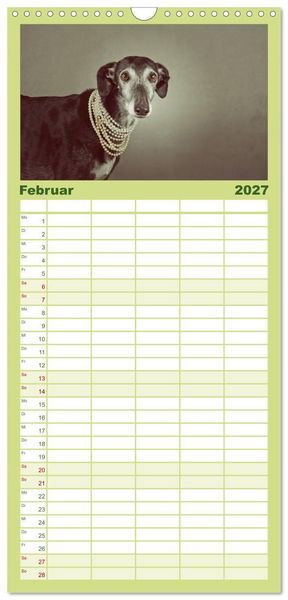 Produktbild: Familienplaner 2027 - Der Windhundekalender mit 5 Spalten (Wandkalender, 21 x 45 cm) CALVENDO