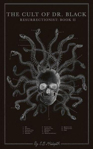 Produktbild: The Cult of Dr. Black