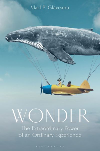 Produktbild: Wonder