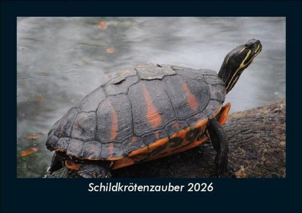 Produktbild: Schildkr&ouml;tenzauber 2026 Fotokalender DIN A5