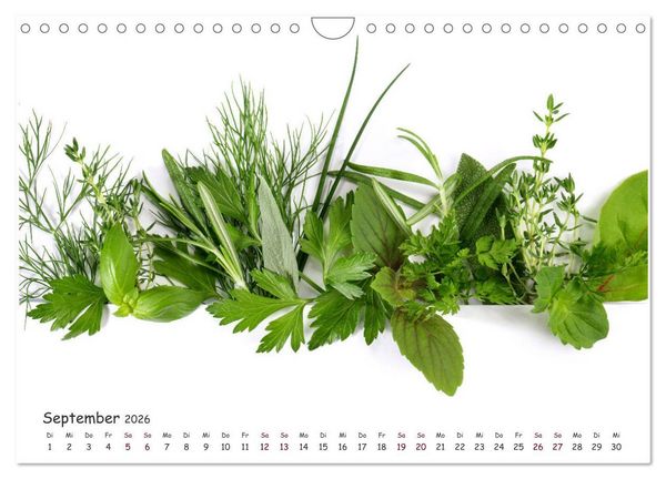 Produktbild: Food Panorama - K&uuml;chenkalender 2026 (Wandkalender 2026 DIN A4 quer), CALVENDO Monatskalender