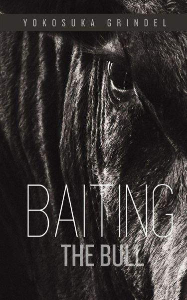 Produktbild: Baiting the Bull