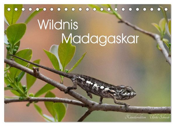 Produktbild: Wildnis Madagaskar (Tischkalender 2027 DIN A5 quer), CALVENDO Monatskalender