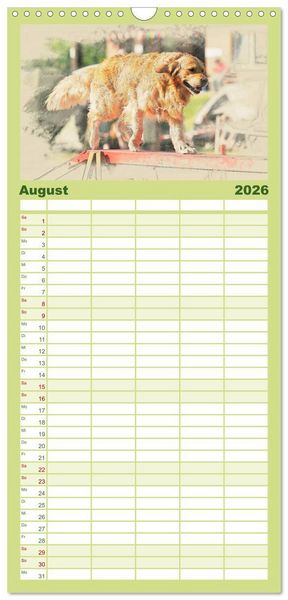 Produktbild: Familienplaner 2026 - Golden Retriever mit 5 Spalten (Wandkalender, 21 x 45 cm) CALVENDO