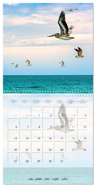 Produktbild: Floride &ndash; D&eacute;couvertes dans l'&Eacute;tat du soleil (Calendrier mural carr&eacute; 2026 30x30 cm) Calendrier double avec une page pour vos prises de notes