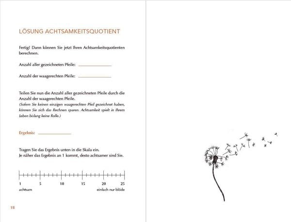 Achtsam morden – Das Übungsbuch nach der Joschka-Breitner-Methode