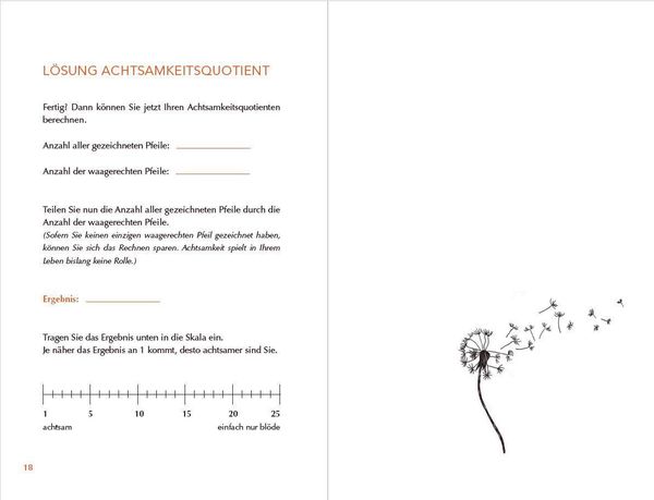 Produktbild: Achtsam morden &ndash; Das &Uuml;bungsbuch nach der Joschka-Breitner-Methode