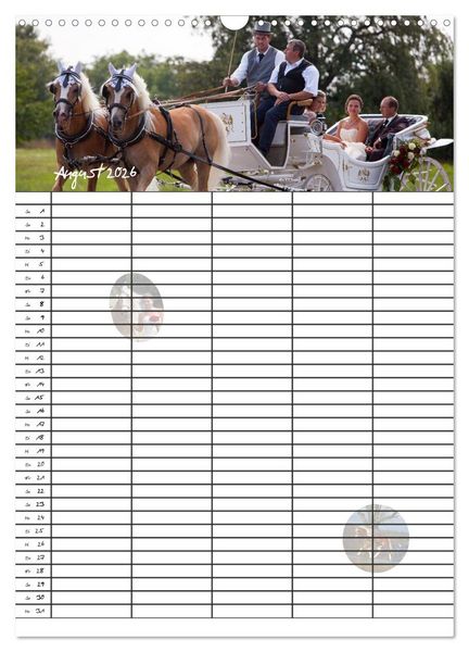 Produktbild: Haflinger Pferde - Stall- und Familienplaner 2026 (Wandkalender 2026 DIN A3 hoch), CALVENDO Monatskalender