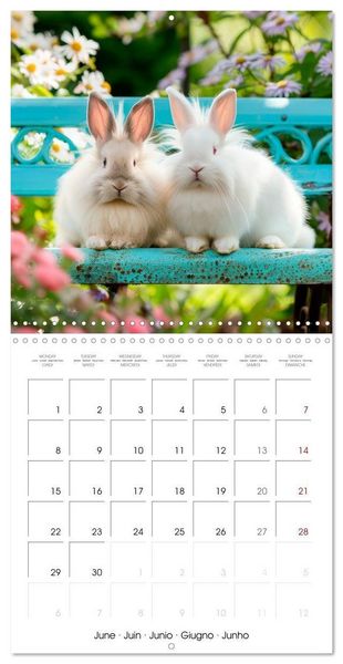 Produktbild: RABBITS Cuddly little guys (Wall Calendar 2026 12 &times; 12 Inch) CALVENDO 12 Month Wall Calendar