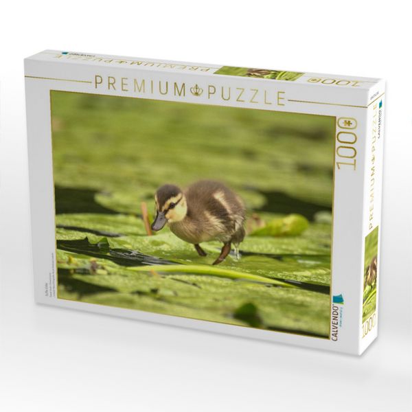 Produktbild: CALVENDO Puzzle S&uuml;&szlig;e Ente | 1000 Teile Lege-Gr&ouml;&szlig;e 64x48cm Foto-Puzzle f&uuml;r gl&uuml;ckliche Stunden