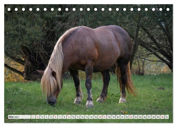 Produktbild: Heimatmomente - L&auml;ndliche Impressionen (Tischkalender 2027 DIN A5 quer), CALVENDO Monatskalender