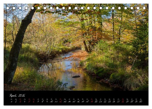 Produktbild: Hochmoor Hohes Venn (Tischkalender 2026 DIN A5 quer), CALVENDO Monatskalender