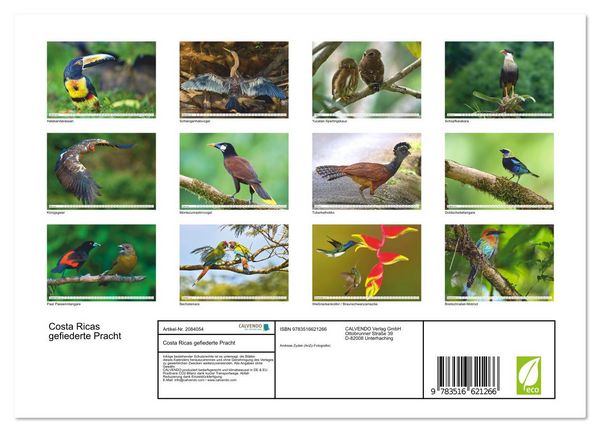 Produktbild: Costa Ricas gefiederte Pracht (Wandkalender 2026 DIN A4 quer), CALVENDO Monatskalender