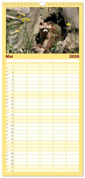 Produktbild: Familienplaner 2026 - Waschb&auml;ren mit 5 Spalten (Wandkalender, 21 x 45 cm) CALVENDO