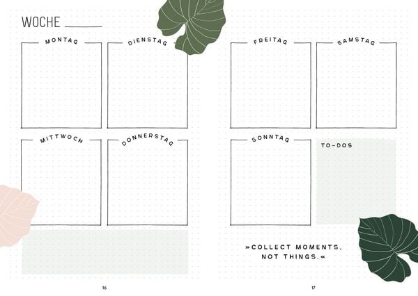 Produktbild: Mein Bullet Journal (Jungle Edition) &ndash; Besser planen & Tr&auml;ume verwirklichen