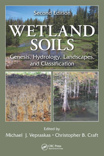 Produktbild: Wetland Soils