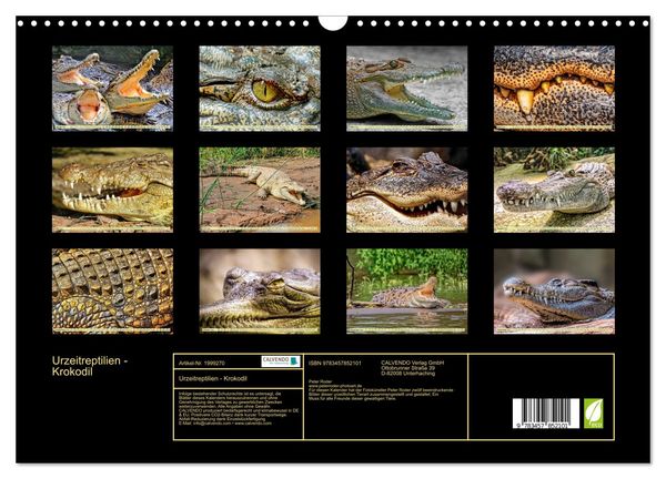 Produktbild: Urzeitreptilien - Krokodil (Wandkalender 2026 DIN A3 quer), CALVENDO Monatskalender