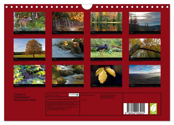 Produktbild: Herbst im Nationalpark Bayerischer Wald (Wandkalender 2026 DIN A4 quer), CALVENDO Monatskalender