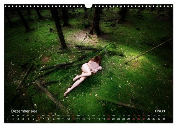 Produktbild: WUNDER DER NATUR - wenn neues Leben entsteht (Wandkalender 2026 DIN A3 quer), CALVENDO Monatskalender
