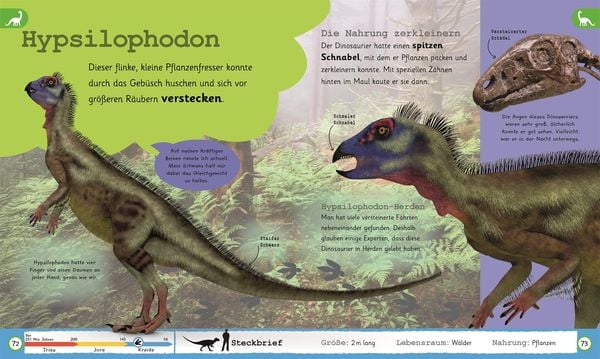 Wissen für Vorschulkids. Was weißt du über Dinos?