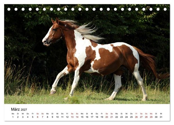 Produktbild: Pferde - im Galopp durch's Jahr 2027 (Tischkalender 2027 DIN A5 quer), CALVENDO Monatskalender
