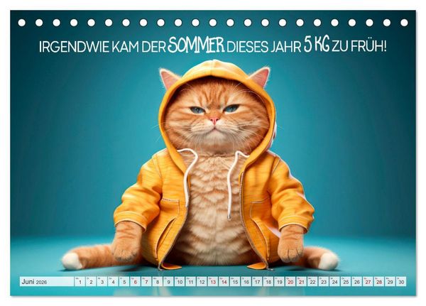 Produktbild: KATZEN-IRONIE Lach mal wieder (Tischkalender 2026 DIN A5 quer), CALVENDO Monatskalender