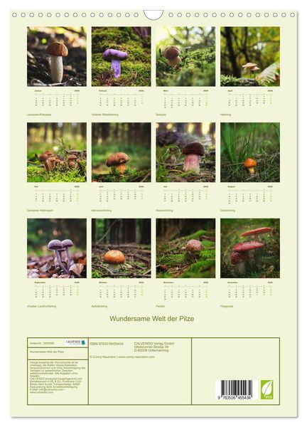 Produktbild: Wundersame Welt der Pilze (Wandkalender 2026 DIN A3 hoch), CALVENDO Monatskalender