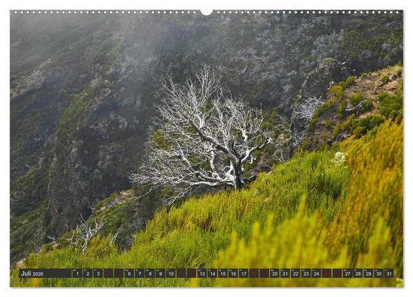 Produktbild: Madeira - Juwel im Atlantik (hochwertiger Premium Wandkalender 2026 DIN A2 quer), Kunstdruck in Hochglanz