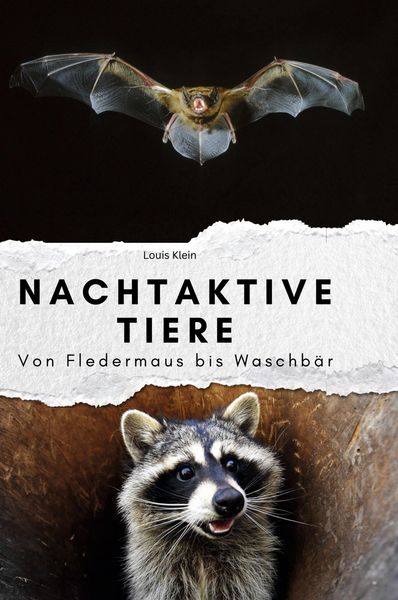 Produktbild: Nachtaktive Tiere