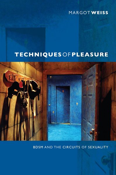 Produktbild: Techniques of Pleasure
