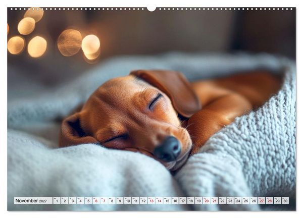 Produktbild: Lieblingshund Dackel (hochwertiger Premium Wandkalender 2027 DIN A2 quer), Kunstdruck in Hochglanz
