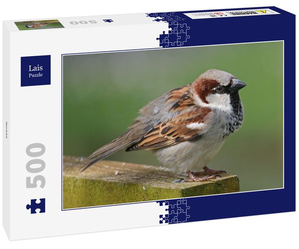 Lais Puzzle Spatz 500 Teile