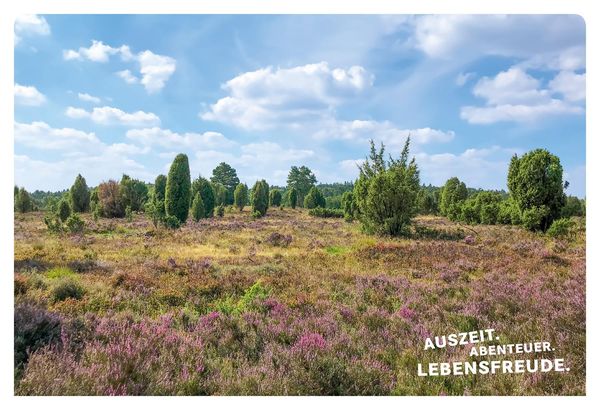 52 kleine & große Eskapaden in der Lüneburger Heide