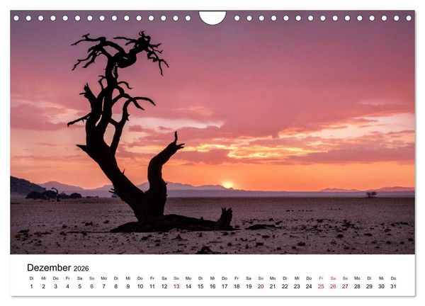Produktbild: B&auml;ume in Namibias Landschaften (Wandkalender 2026 DIN A4 quer), CALVENDO Monatskalender