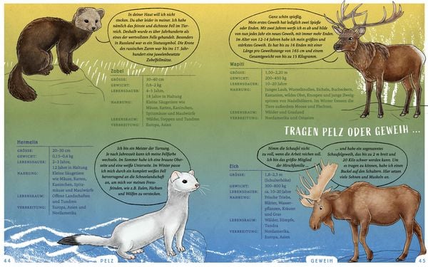Produktbild: Wir sind die Tiere des Waldes