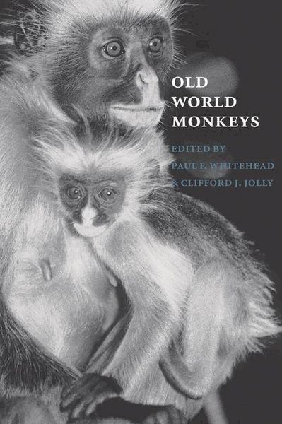Produktbild: Old World Monkeys