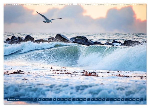 Produktbild: Helgoland - Das Leben auf der D&uuml;ne Helgolands (hochwertiger Premium Wandkalender 2026 DIN A2 quer), Kunstdruck in Hochglanz